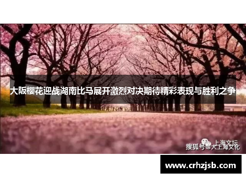 大阪樱花迎战湖南比马展开激烈对决期待精彩表现与胜利之争